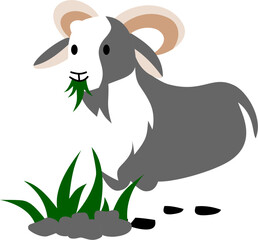 Eid al Adha animal