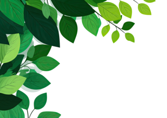 Lush green leaves form a border against transparent background