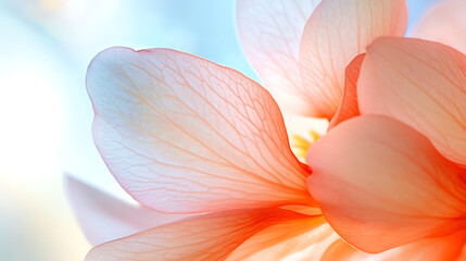 A beautiful floral scene featuring colorful and delicate flowers in a natural setting