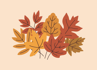 Autumn foliage cluster vector illustration with orange and red leaves for thanksgiving festival, harvest design, seasonal decoration, rustic artwork, and natural eco friendly graphics.