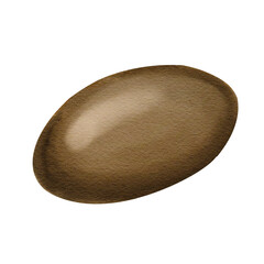 Glossy pebble. Coffee bean. Exotic fruit pit. Medlar. Botanical vintage style. Brown oval. Watercolor illustration isolated from the background. Hand drawn.