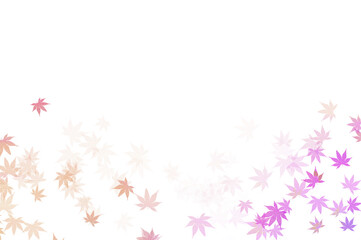 Gradients Of Fall Leaves Pink And Peach Maple Leaves