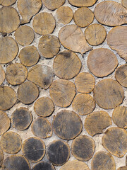 Wood Log Slices Wall Texture, Rustic Eco Background. Close-up of a decorative wall made of natural wooden log slices embedded in concrete. Rustic organic background texture with tree rings, cracks and