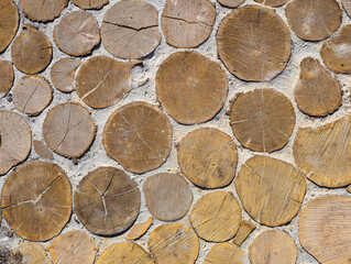 Wood Log Slices Wall Texture, Rustic Eco Background. Close-up of a decorative wall made of natural wooden log slices embedded in concrete. Rustic organic background texture with tree rings, cracks and