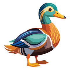 Duck Vector.  Colorful Duck Vector Illustration.
Aurora Duck Vector. Majestic Ornamental Duck. Prismatic Feather Duck. Duck concept, Duck cartoon, Duck icon, Duck art, Duck topics, 