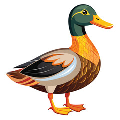 Duck Vector.  Colorful Duck Vector Illustration.
Aurora Duck Vector. Majestic Ornamental Duck. Prismatic Feather Duck. Duck concept, Duck cartoon, Duck icon, Duck art, Duck topics, 