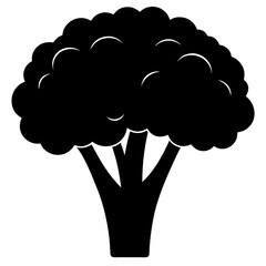 cloud computing concept