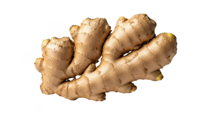 Fresh Ginger Root Closeup On Black
