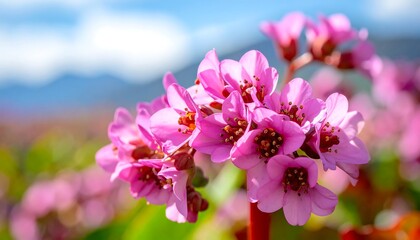 Fototapeta premium Close-up of vibrant pink flowers (1)