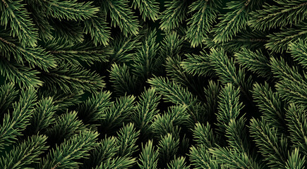 Christmas and New Year card with fir tree branches 