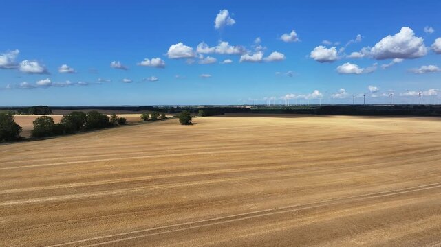 Aerial view of a golden harvested field contrasting with the distant wind turbines under a blue sky, Bruessow, Brandenburg, Germany.
