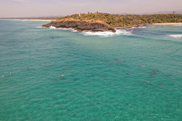 Pod of common dolphins swimming under the surface near the coastline