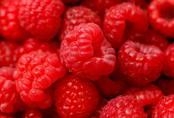A bunch of red raspberries