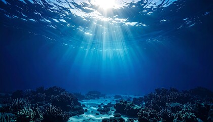 Fototapeta premium Underwater coral reef sunlight