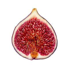 Fig