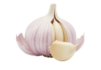Isolated Fresh Garlic Bulb with Peeled Clove on Display Close Up for Cooking, No Background