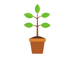 Simple potted plant illustration (1)