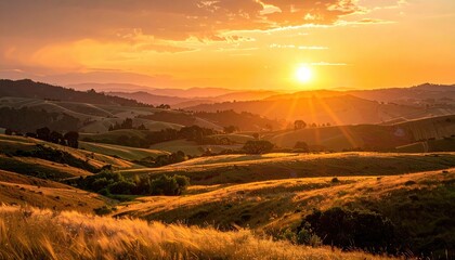 Bare Tree Silhouette Against a Foggy Winter Sky in a Minimalist Composition Under Soft Overcast Light