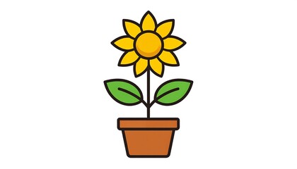 Simple sunflower in pot