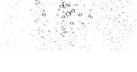 Transparent water bubbles on white background, abstract liquid texture perfect for freshness, purity, clean design, beverage advertising, cosmetic product presentation, and minimal modern backgrounds.