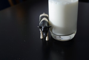 A glass full of milk and a figurine of a black and white cow as a concept of domestically produced and organic drink that is the basic ingredient of children's nutrition