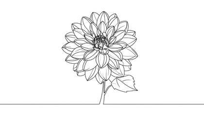 Single line drawing of a dahlia