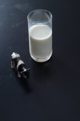 A glass full of milk and a figurine of a black and white cow as a concept of domestically produced and organic drink that is the basic ingredient of children's nutrition