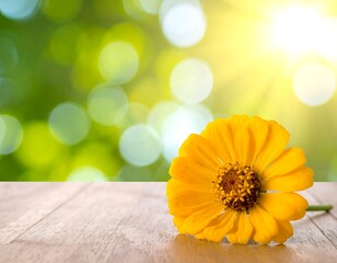 Single yellow flower on wooden surface