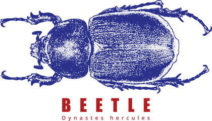 Rhinoceros Beetle Top Down Illustration. Minimalist Retro Stipple Art. Blue Insect Graphic, Red Text. High Contrast Entomology Design. Isolated on White.