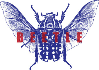 Flying Chafer Beetle Illustration Wings Spread. Blue Insect Graphic with Spots. Vintage Woodcut Style High Contrast Design. Entomology Nature Art.
