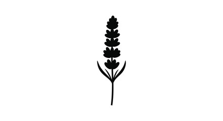 Elegant Lavender Flower Silhouette Simple Botanical Illustration for Design and Decoration