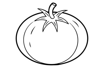 tomato vector illustration