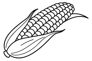 hand drawn illustration of corn