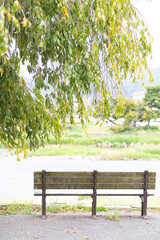 川沿いにある無人のベンチ。癒しの風景