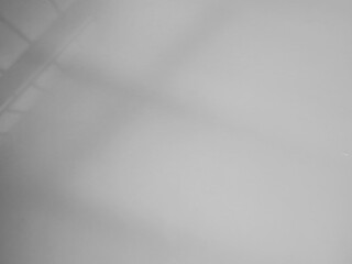 Background shadow white light wall floor backdrop overlay leaf mockup summer sunight overlay nature on room cement abstract blur muckup effect grey minimal platform for presentation product