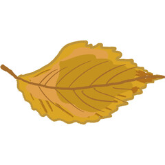Drawing leaf illustrations unique ugly