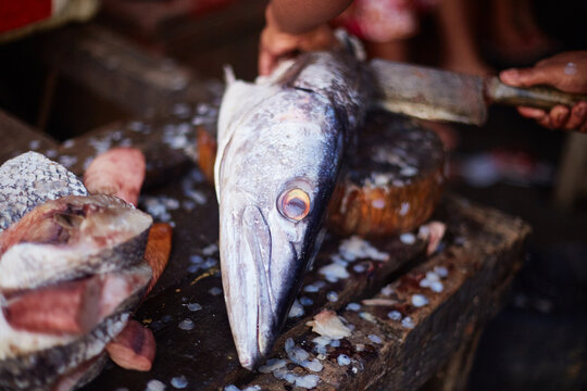 Brown skinned adult hand cutting large fish head on wooden chopping board, fish scales and pieces scattered on rustic surface, preparing seafood for cooking or market sale