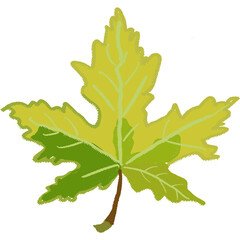 Drawing leaf illustrations unique ugly