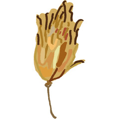 Drawing leaf illustrations unique ugly