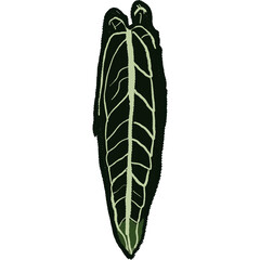 Drawing leaf illustrations unique ugly