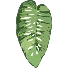 Drawing leaf illustrations unique ugly