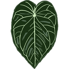 Drawing leaf illustrations unique ugly