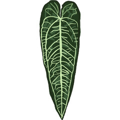 Drawing leaf illustrations unique ugly