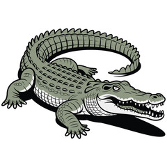crocodile on white background