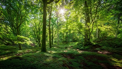 Fototapeta premium Lush Green Forest Background With Dappled Sunlight Filtering Through The Canopy Creating A Magical Atmosphere Perfect For Fantasy Or Nature Themes Lush Peaceful