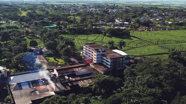 Aerial view of Bois Cheri tea factory, with smoke blowing from its chimneys, nestled amidst lush green tea plantations and dense forests, teafactory Bois Cheri, Savanne District, Mauritius.