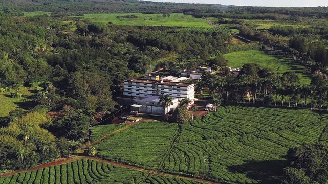 Aerial view of the Bois Cheri tea factory amid lush green tea plantations and surrounding forests, a verdant landscape, Bois Cheri,, Savanne District, Mauritius.