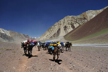 Horsemen in a river valley in the desert between the mountains. Gray mountains. Bare mountainous terrain