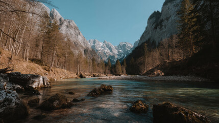 Tranquil river in mountain valley forest landscape