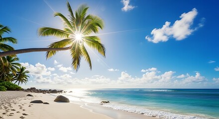 Idyllic tropical beach with white sand, turquoise water, and a leaning palm tree under a bright sunny sky vacation background